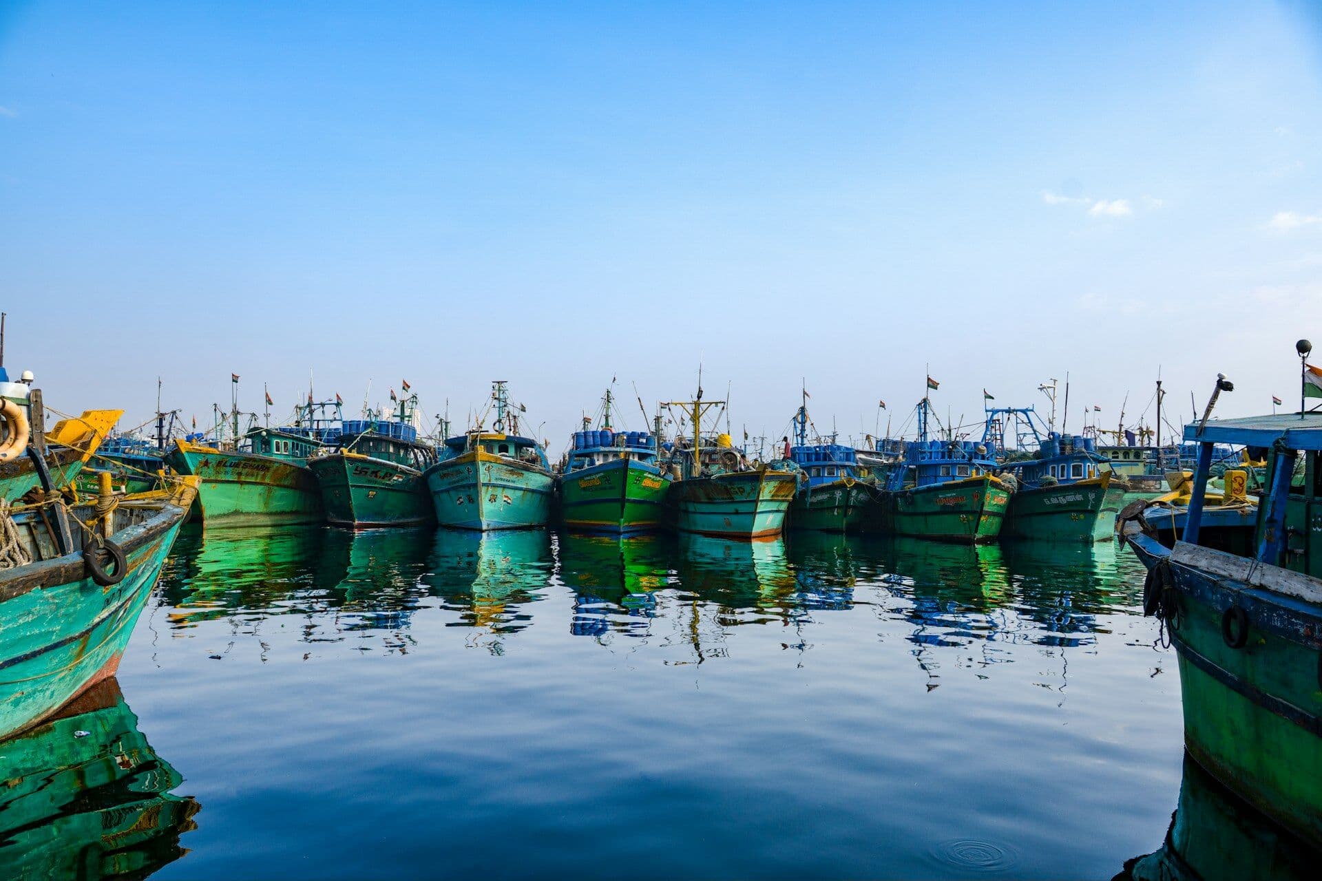 Rows of green fishing boats moored in a calm harbour